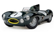 1954年捷豹D-Type 冠军版 汽车模型  Exoto 1:18 深绿色